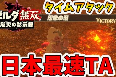【ゼルダ無双 厄災の黙示録】怨念の渦ベリーハードタイムアタック！日本最速タイムを出してやる！【Hyrule Warriors age of calamity comparison】【naotin】