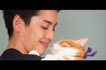 映画『猫忍』に出演する大野拓朗さんと、猫の金時