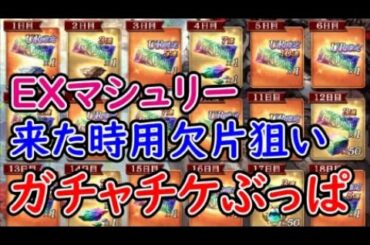 【FFBE幻影戦争】EXマシュリー来た時用欠片狙いでガチャチケぶっぱする！【WAR OF THE VISIONS】
