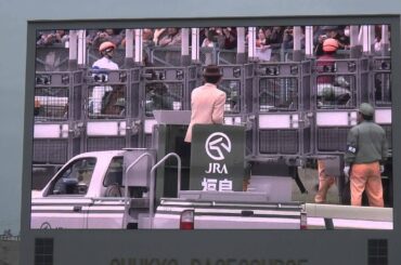 ２０１３年　福島牝馬Ｓ　ファンファーレ　in　中京競馬場