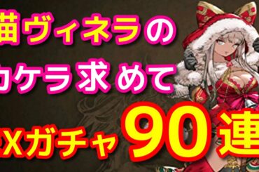 【FFBE幻影戦争】猫ヴィネラのカケラ求めて90連した結果【WOTV】