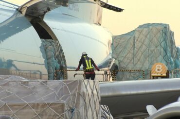 【特集】『貨物便』が活況！貨物便が"1.6倍"飛ぶ…閑散の関空でナゼ？最新機を導入する企業も！（2020年11月24日）