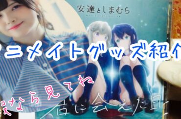 アニメイトグッズ紹介！呪術廻戦、安達としまむらなど！