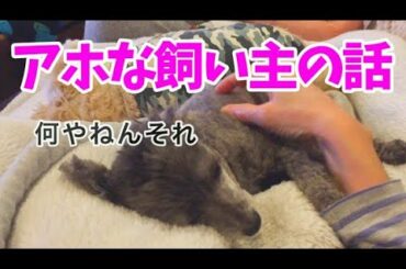 【犬動画】アホな飼い主のiPhone12話を聞かされる犬たち💦【トイプー】Dogs told about the stupid owner's iPhone 12💦 [Toy Pooh]