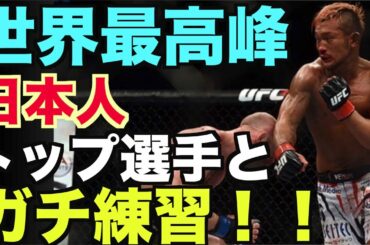 【UFCで日本人最多14勝した◯◯選手登場‼︎】国内トップクラスの選手達が集結する練習風景を公開します。