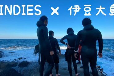 [伊豆ダイビング]週末伊豆大島ツアーで朝から晩まで潜りっぱなし！