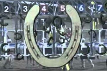 2010/06/30 帝王賞　ファンファーレ　生演奏