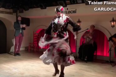 【ダンスライブ】フラメンコの今 vol.18　~伝説の踊り手の末裔～　#家でフラメンコ鑑賞してみよう　#家で一緒にやってみよう #STAYHOME #WITHME #YoMeQuedoEnCasa