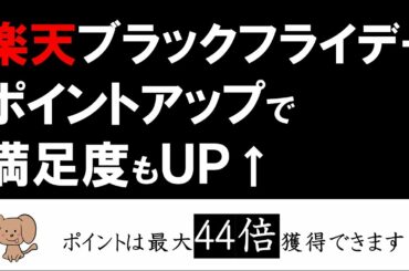 楽天ブラックフライデーでポイントを大量GET！ふるさと納税、クーポンも使い倒せ！