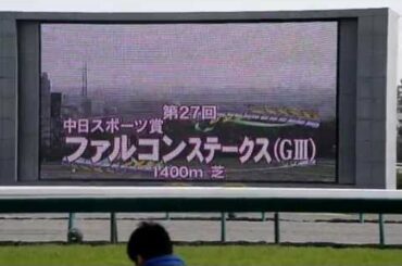 【ファンファーレ】第27回中日スポーツ賞ファルコンステークス