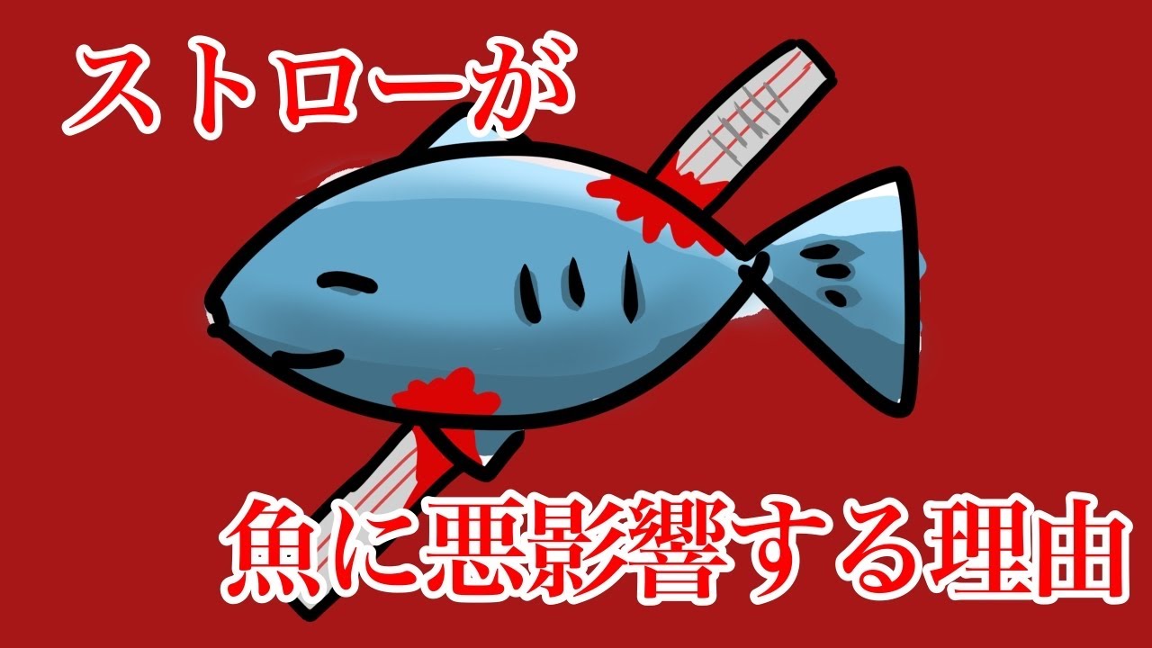 【アニメ】ストローは海の生き物にとって大きな毒【マイクロプラスチック問題】【環境問題】