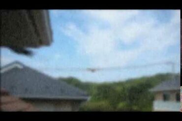 新作動画　特報