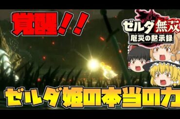 【ゼルダ無双厄災の黙示録】覚醒の時⁉リンクのピンチに反応するゼルダ‼【ゆっくり実況】#24