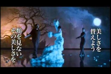 映画『フラメンコ・フラメンコ』予告編