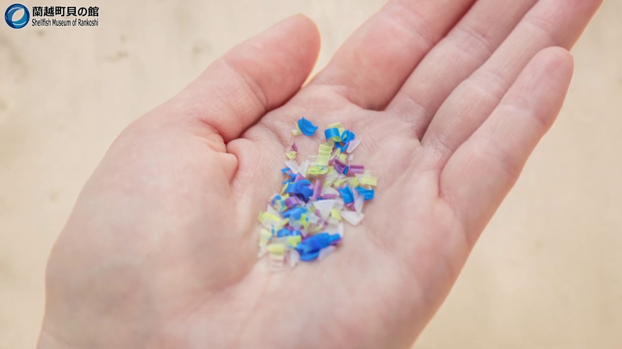 2. 海洋プラスチックゴミについて  [日本語]
