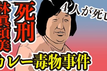 【免罪!?】食中毒67名・死亡者4名を出した和歌山カレー毒物事件の真相とは.....