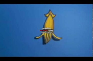 プラスチックゴミから海の魚を助けて