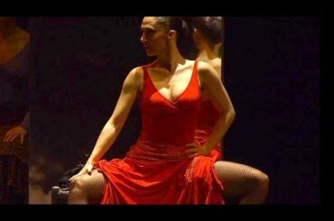 カルメン、血の婚礼-フラメンコ組曲ライブ映像／映画『アントニオ・ガデス舞踊団 in シネマ』予告編