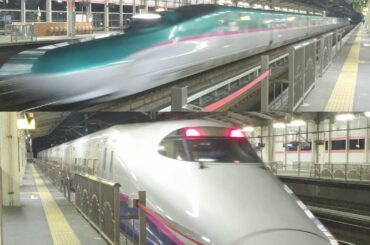発車するやまびこをロックオン！ 猛追するはやぶさから逃げろ！