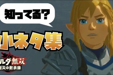 ゼルダファンだけ気づいてる厄災の黙示録の小ネタ集