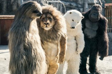 動物園スタッフが着ぐるみで動物に成り済ます！韓国映画『シークレット・ジョブ』本編映像