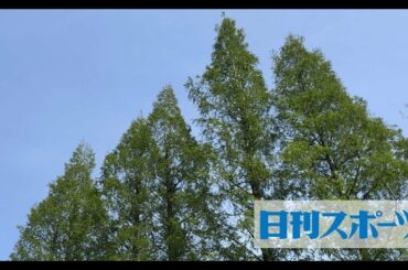 V6井ノ原快彦（44）が28日、都内で行われた主演映画「461個のおべんとう」（兼重淳監督、11月6日公開）の親子試写会イベントに、息子役の関西ジャニーズJr… - 日刊スポーツ新聞社のニュースサイト