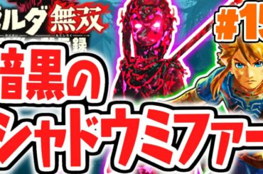 闇の英傑が強すぎる!?アストルの狙いとは!?最速実況Part15【ゼルダ無双 厄災の黙示録】
