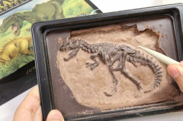 Discover Dinosaur Chocolate Kit Jurassic Chocolate Dig Up