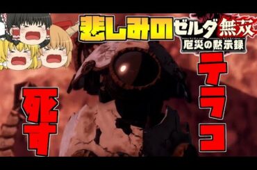 【ゼルダ無双厄災の黙示録】涙腺崩壊⁉サヨナラ。テラコ…悲しみの最終回中編‼【ゆっくり実況】#28