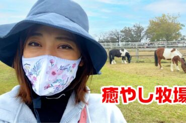 【癒やし牧場🐮🐴🐑🐥】兄家族とマザー牧場に行ってきました【Vlog】