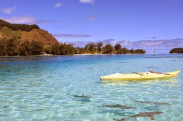 共演ＮＧ　特別編 2020年12月14日 /若月佑美出演、ドラマ「共演NG」特別編放送！ LIVE