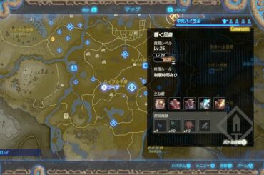 【ゼルダ無双 厄災の黙示録 ベリーハードモード】トラがごとくライブ配信！ 20-12-13