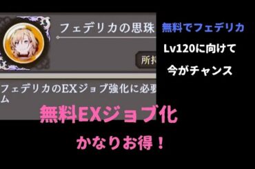 フェデリカ無料Lv120に向けて！【FFBE幻影戦争】
