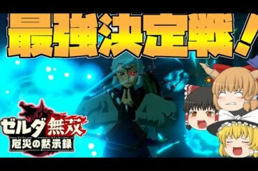 【ゼルダ無双厄災の黙示録】ハイラル界最強の戦士決定戦⁉サブクエストやってくヨ‼【ゆっくり実況】#30