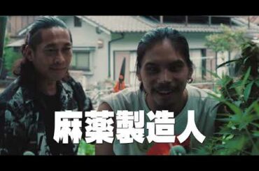 『脳天パラダイス』特報映像