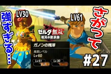 【これがLV30の差…】2人高難易度ステージをリンクが無双してしまうｗ【ゼルダ無双　厄災の黙示録実況　#27】