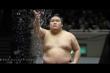 ドキュメンタリー映画『相撲道 サムライを継ぐ者たち』予告編動画