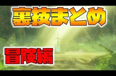 【ゼルダの伝説】冒険で役に立つ裏技集！最新バージョン【naotin】