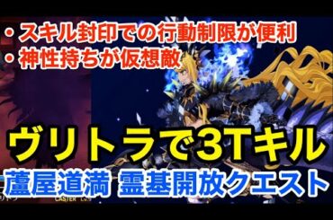 【FGO】ヴリトラ運用例 高難易度アタッカー：蘆屋道満 霊基開放クエスト3ターンキル(編成2パターン)【Fate/Grand Order】