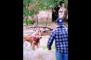 【TIKTOK】お前の相棒は預かった。