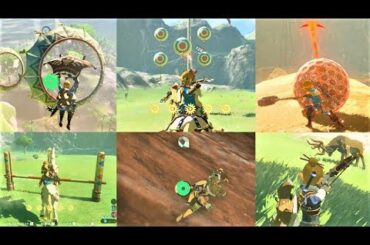 【全16ミニゲーム 最高報酬ゲット集】　攻略 ゼルダの伝説 ブレスオブザワイルド　"All 16 Mini Games" BREATH OF THE WILD BOTW