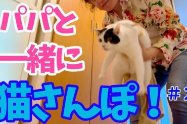 【保護猫】大好きなパパとの散歩！淡々と歩く姿に癒されます　　　　　[Cat walk] Take a walk with your favorite dad! Healed by walking