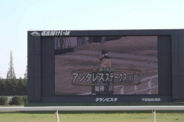 ２０１３年　アンタレスＳ　ファンファーレ　in　名古屋競馬場