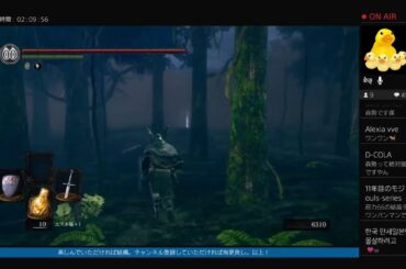 【ダークソウルリマスター】相変わらずの神ゲーと聞きまして5