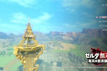 【生ゼルダ無双３章前半～４章終了まで】１００年前の厄災物語　生放送【ドリルカラマリ】