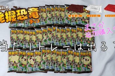 [検証]キャラパキ 発掘恐竜 当たりトレーはでる？