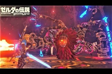 【厄災ガノン戦　ハイラル城本丸　ラスボス】 攻略 ゼルダの伝説 ブレスオブザワイルド  "Calamity Ganon" BREATH OF THE WILD