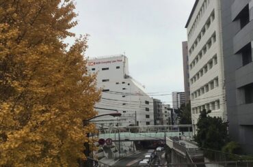 安達としまむらビックカメラ店内放送