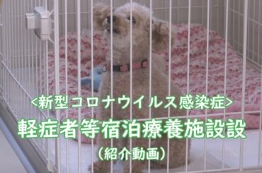 新型コロナウイルス感染症の軽症者等の皆様のための宿泊療養施設のご紹介