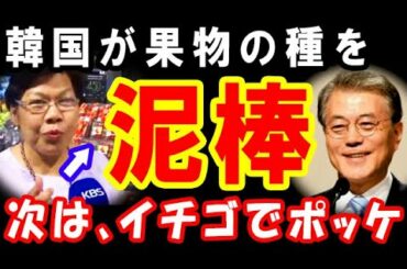 【韓国の反応】今度はイチゴか！日本品種の盗用を繰り返し門前払いを食らう珍事が発生「今がチャンスだ」「うわぁ、盗人猛々しいな」12月5日-2『世界の深掘り』